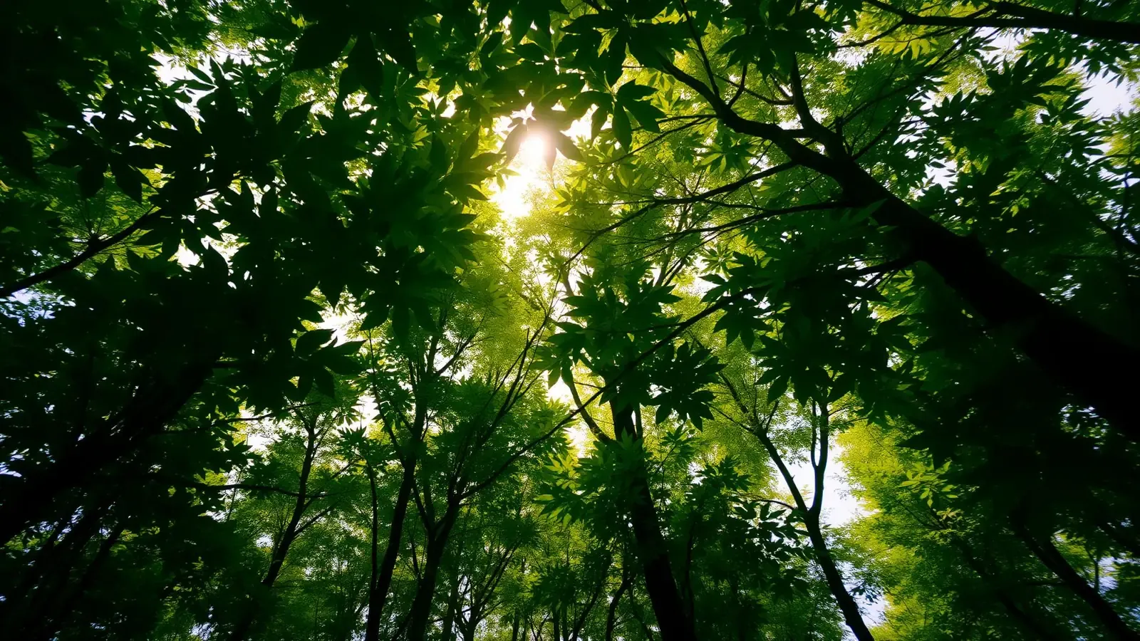 Floresta — pilares ambientais